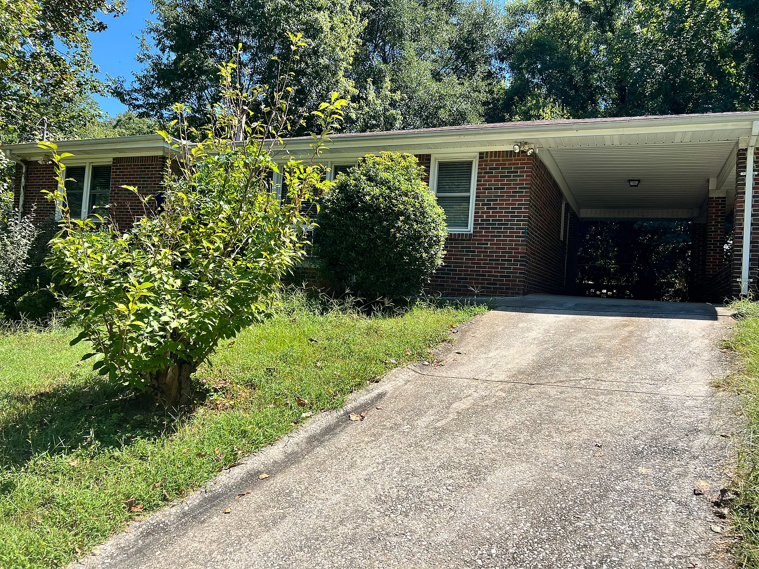 3 bed, 1.5 bath, 1070 sqft, $1,850 — Photo 2