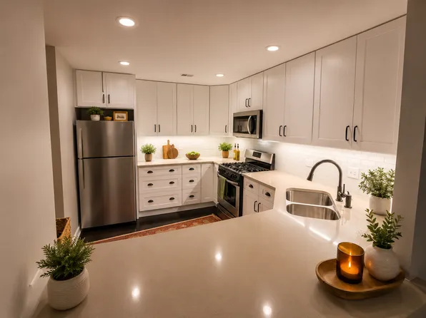1935 S Archer Ave APT 520, Chicago, IL 60616