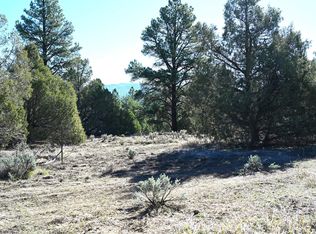 0 Nm Br, Tierra Amarilla, NM 87575