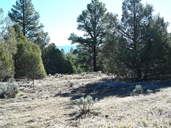 0 Nm Br, Tierra Amarilla, NM 87575