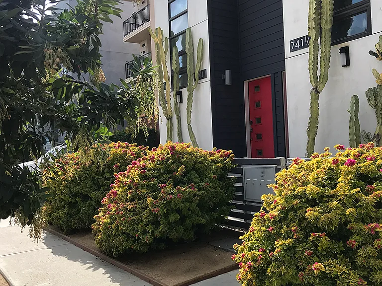 Sidewalk View