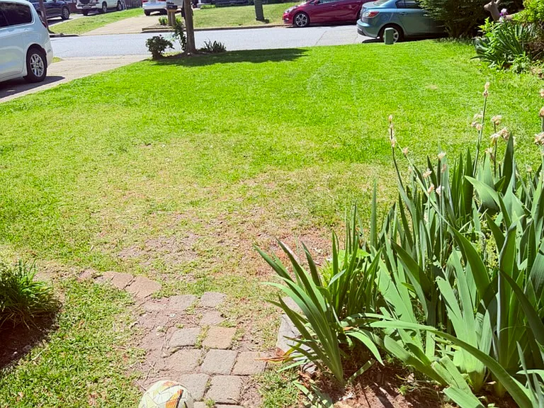 310 Sunflower Ct — Photo 16