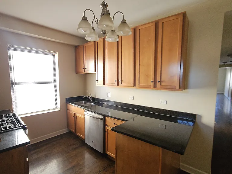 2245 W Rosemont Ave #1N — Photo 2