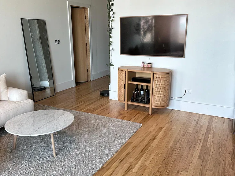 1720 S Michigan Ave #1207 — Photo 4