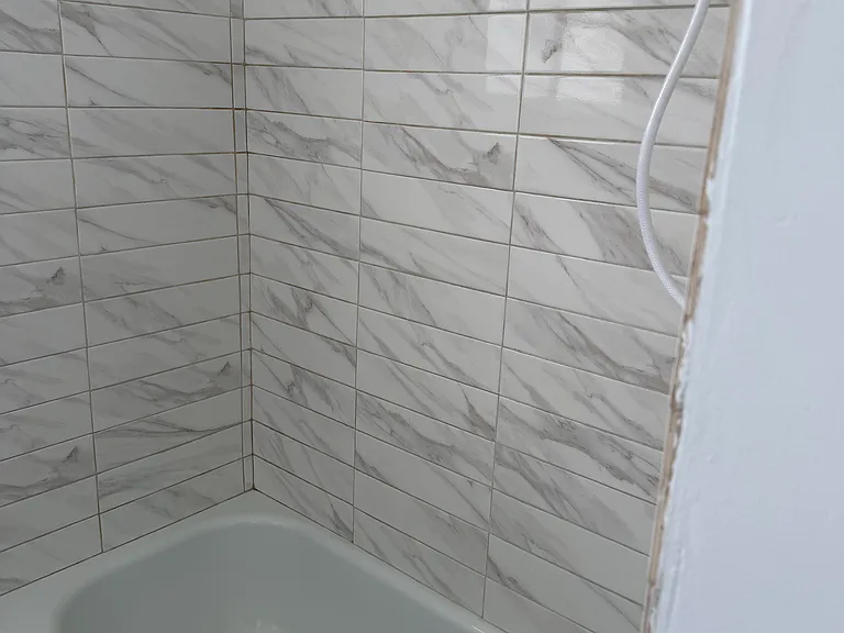 38202 Delacour Dr — Photo 4
