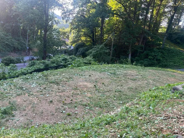 229 Silverbell Ln #3301, Gatlinburg, TN 37738