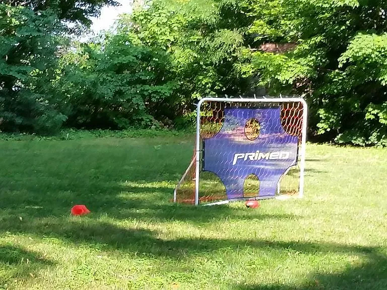 Large yard with no fence