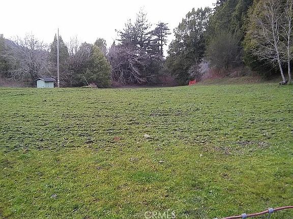 5th image of 203 Pine Ln