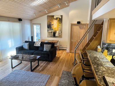 935 E Hopkins Ave #12, Aspen, CO, 81611