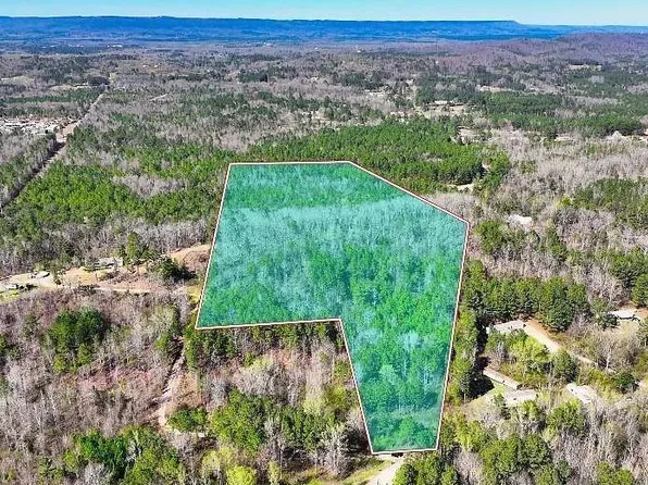 0 Ford Hill Rd #0, Ashville, AL 35953