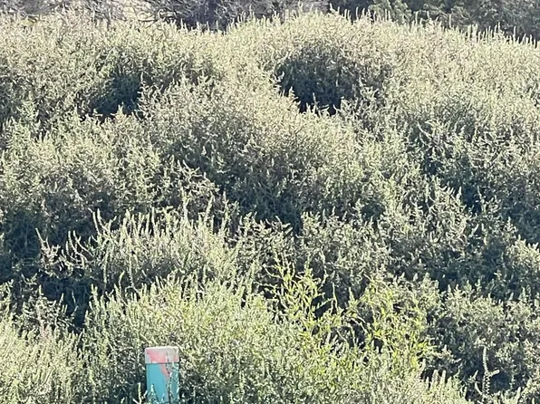 673 E Fiddlers Cove Dr, Cedar City, UT 84721