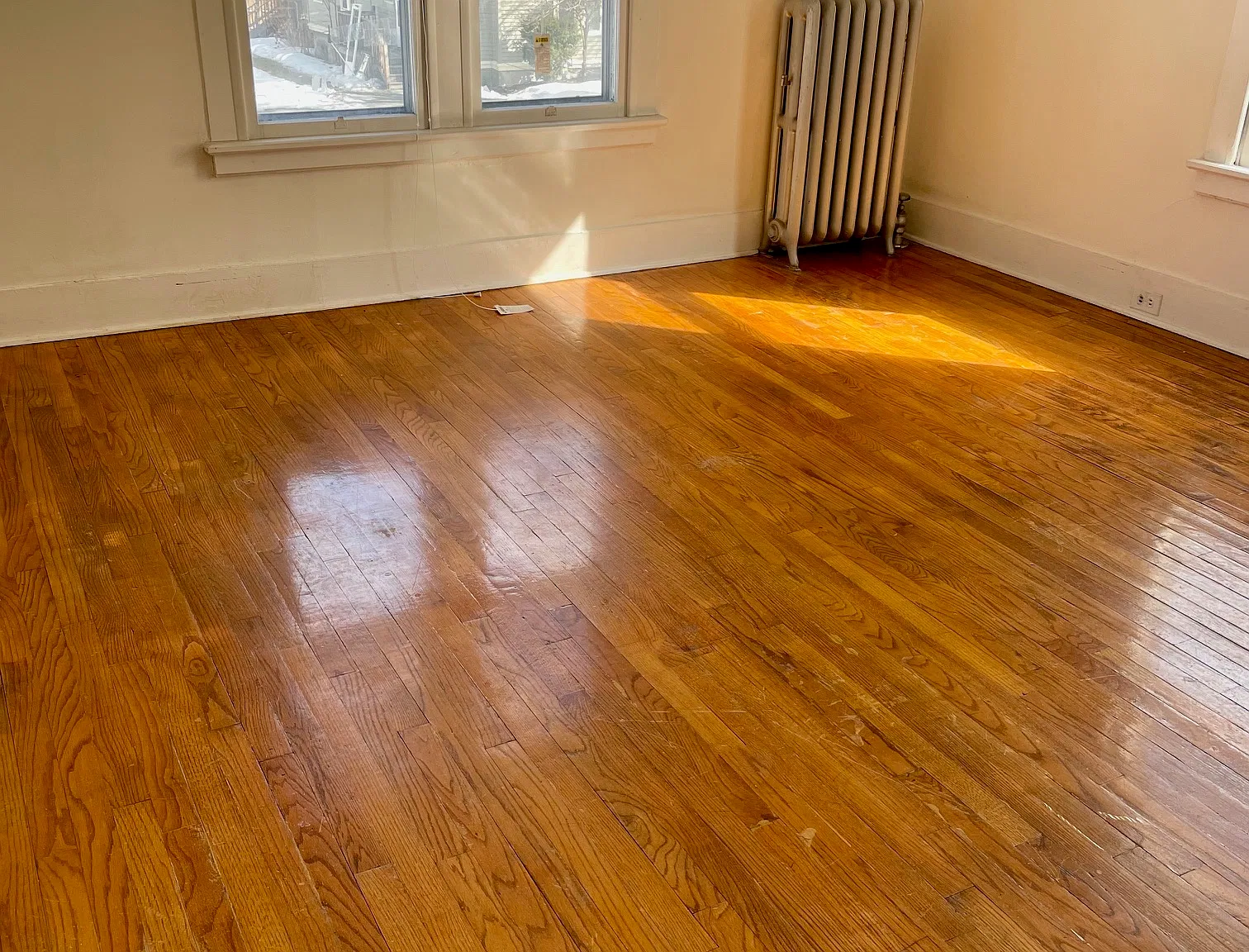 1 bed, 800 sqft, $1,300 — Photo 1