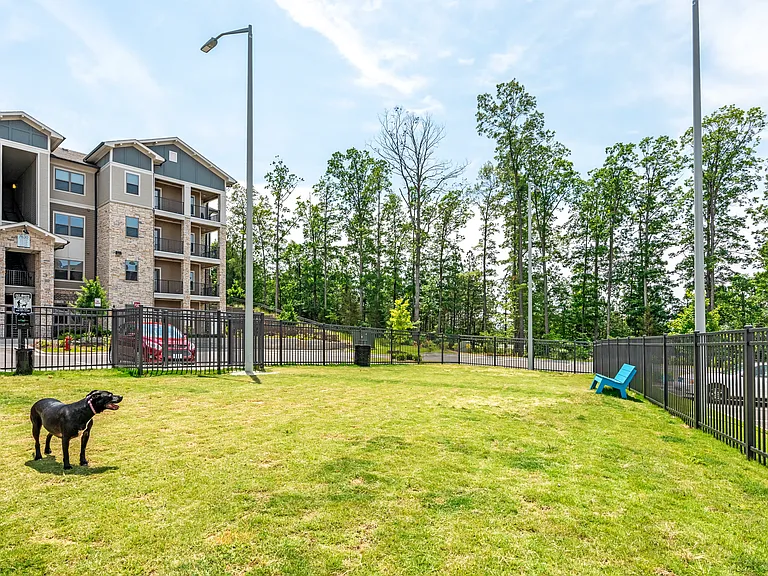 Adara Alexander Place — Photo 11
