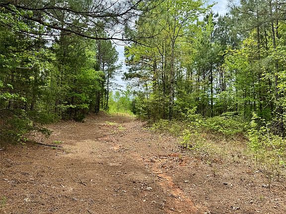 5th image of County Road 2742