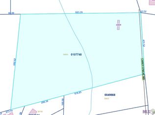 30805 Carey Oneal Rd, Denham Springs, LA 70726