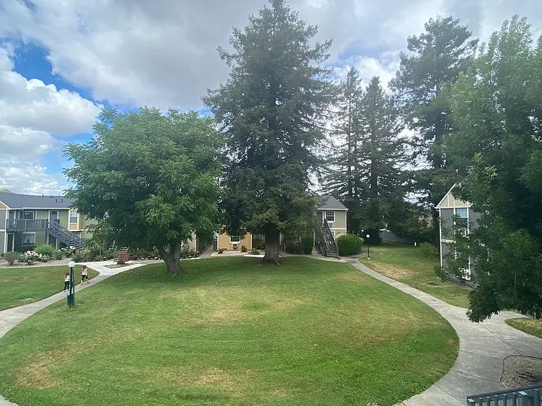 Pioneer Apartments — Photo 13
