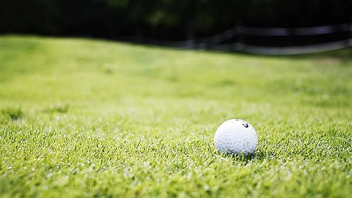 Golf Ball on Golf Course