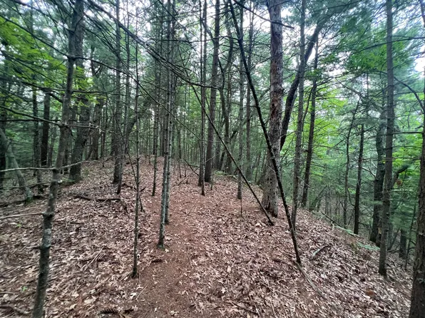 V/l A Lenox Ave, Pentwater, MI 49449