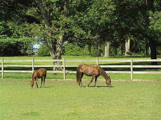 1063 Robinson Springs Rd, Madison, MS 39110 Zillow