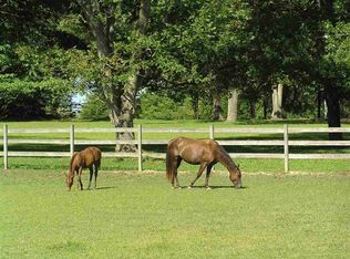 1063 Robinson Springs Rd, Madison, MS 39110