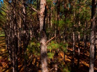 0 Bethel Rd TRACT 8, Sylvania, GA 30467