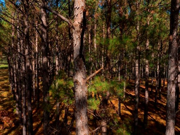 0 Bethel Rd TRACT 8, Sylvania, GA 30467