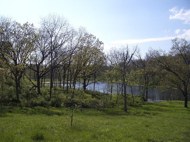 Lake view from building site