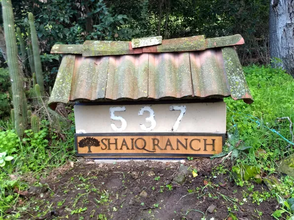 537 Morrison Canyon Rd #1, Fremont, CA 94536