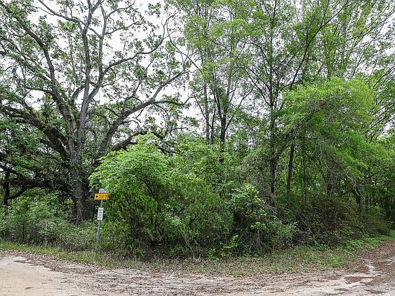 3rd image of 475 PRINGLE (CLAY COUNTY) Road