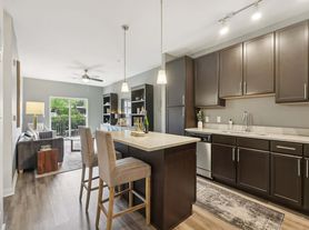 The Ashby at South Hills Village Station