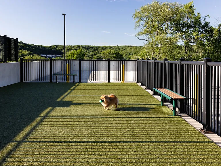 WAG pet park