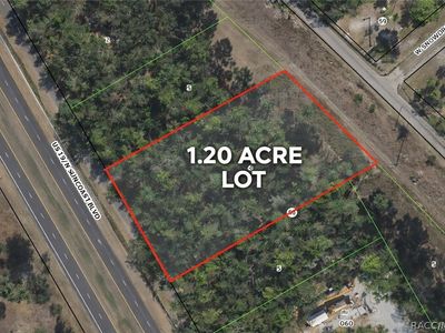 8835 N Bellflower Way, Crystal River, FL, 34428