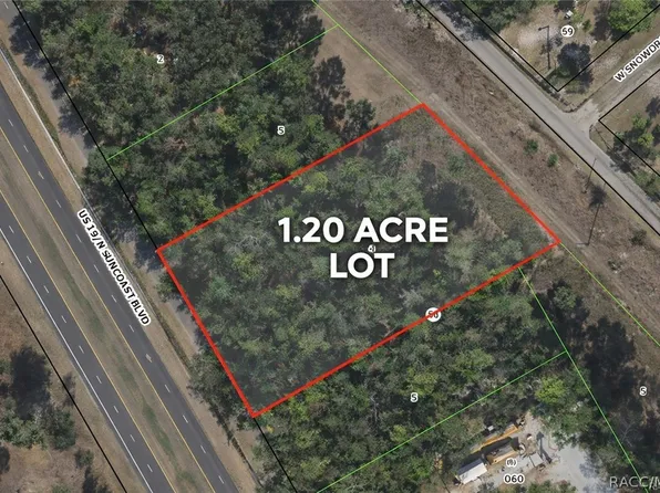 8835 N Bellflower Way, Crystal River, FL 34428