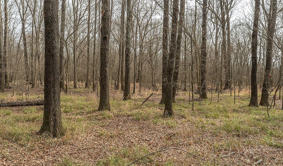 1st image of County Road 37