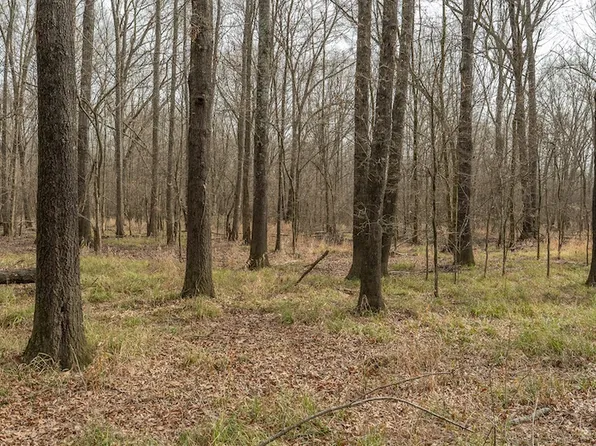 County Road 37, Mount Vernon, TX 75457