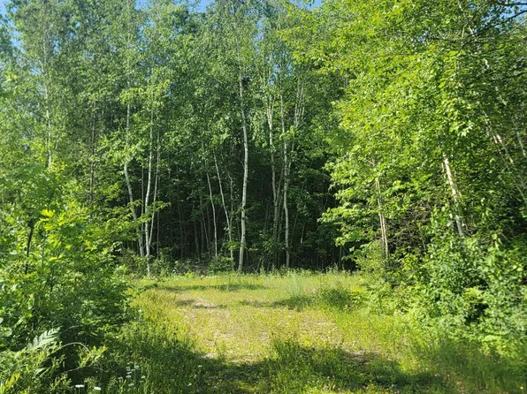 N Larsen Rd, Hayward, WI 54843