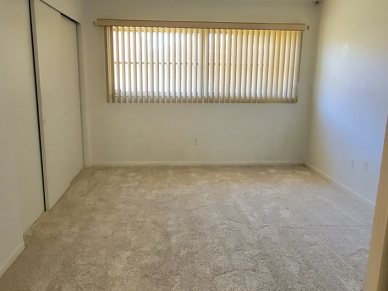 1 bed, 902 sqft, $1,500 — Photo 3