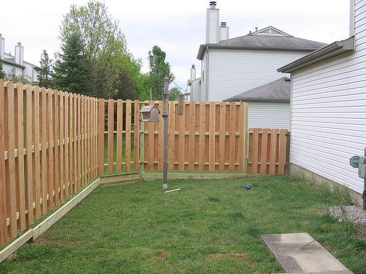 back yard