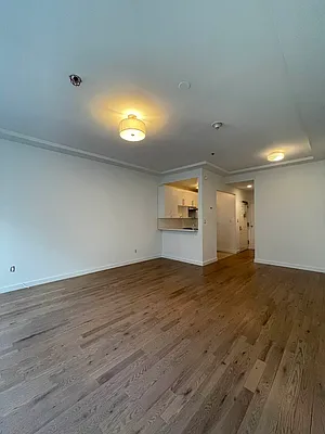 Rented by Voro NYC | media 38