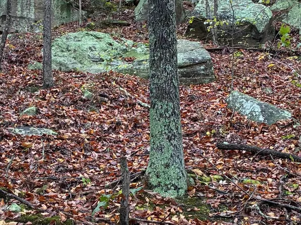 165 Joe Br, Grayson, KY 41143