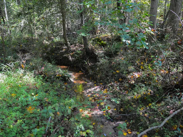 0 Greys Mill Rd, Louisburg, NC 27549