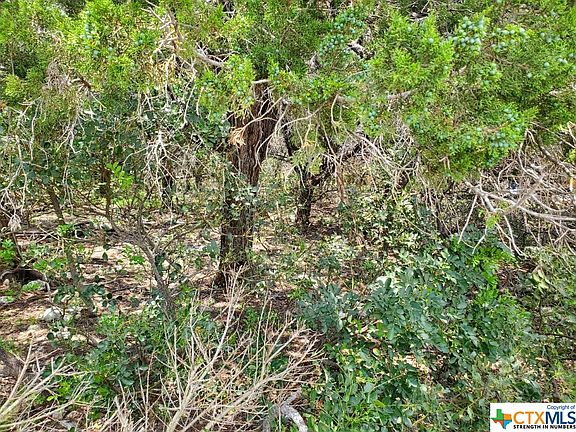 5th image of 16023 & 16029 Brazos Dr