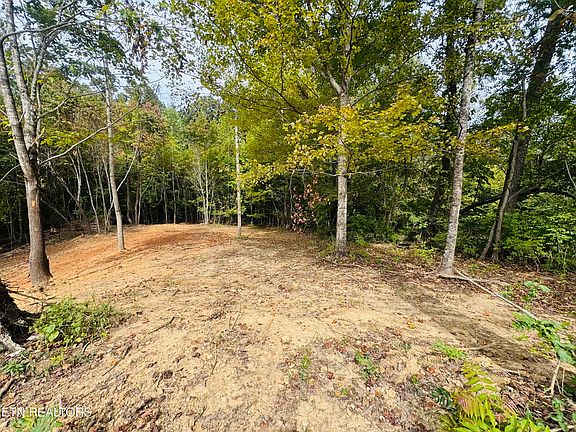3rd image of 349 Wells Rd