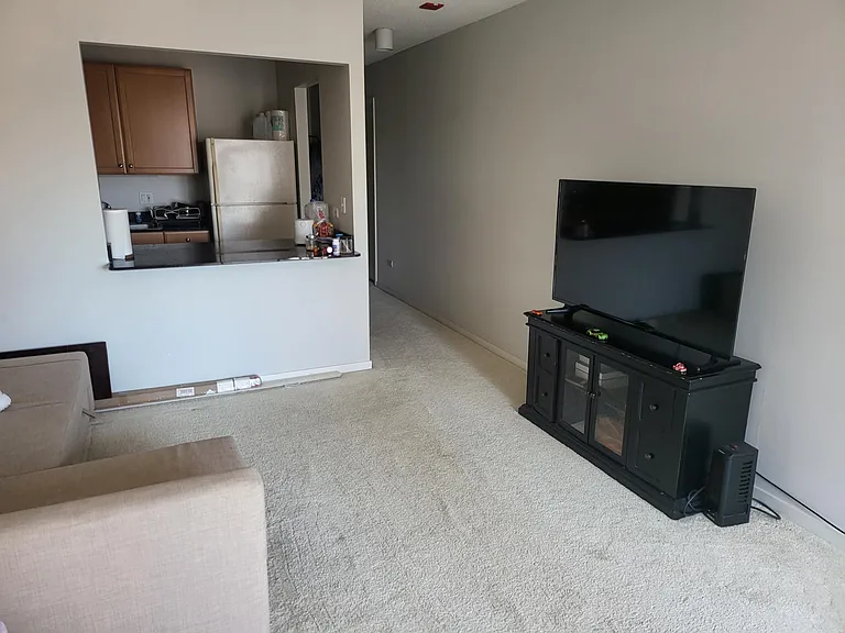 400 N Lasalle St #2803 — Photo 4