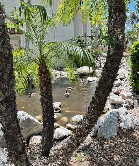 Stone Creek Apartments — Photo 6