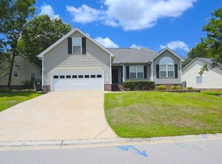 230 Elm Creek Ct, Chapin, SC 29036