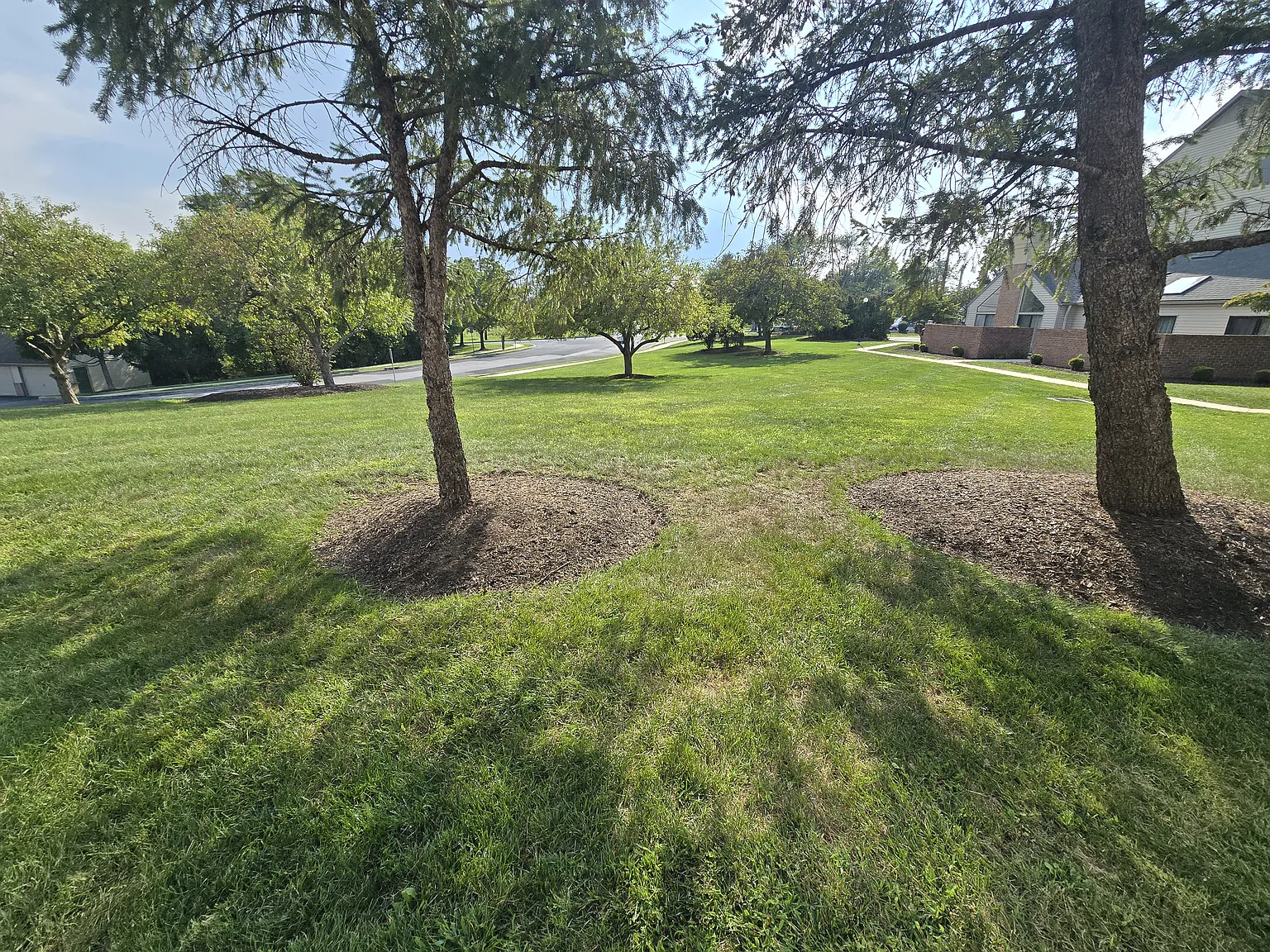 2 bed, 1548 sqft, $1,750 — Photo 4