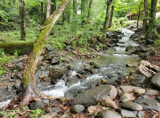 206 Toms Creek Cir, Roan Mountain, TN 37687