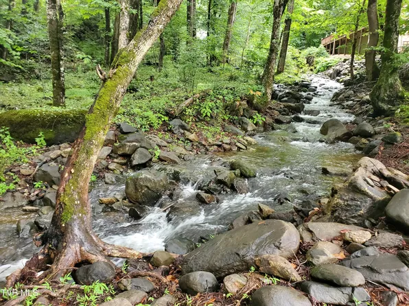 206 Toms Creek Cir, Roan Mountain, TN 37687