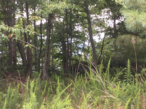 5th image of Tbd Callalantee Dr